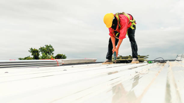 Best Roof Maintenance and Cleaning  in Newport, OH